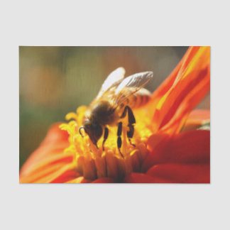 Native Bee in an Orange Flower Tissue Paper