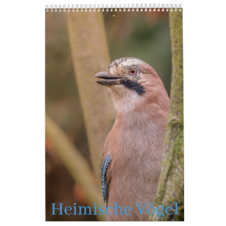 Native Birds Calendar