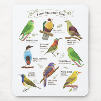 Native Birds in the Philippines Mouse Pad
