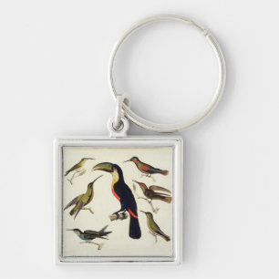 Native birds, including the Toucan (centre), Amazo Key Ring