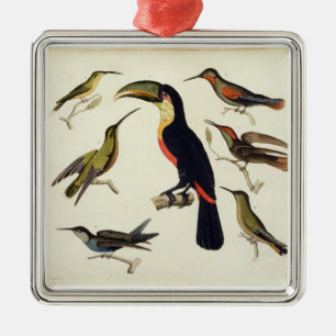 Native birds, including the Toucan (centre), Amazo Metal Tree Decoration