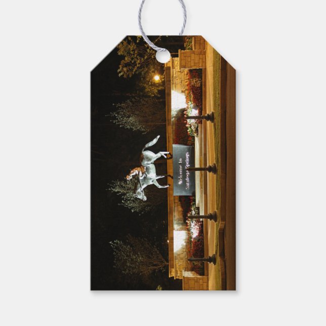 Native Dancer Horse Statue Saratoga Gift Tag (Front)