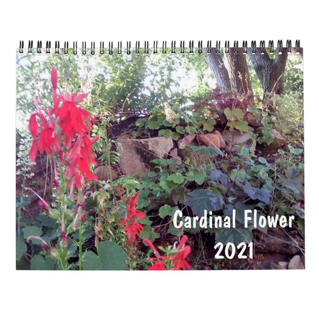 Native Garden 2021 Calendar (Back)