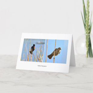 Native Nevadans. Birds. Photography by J.Halko Card