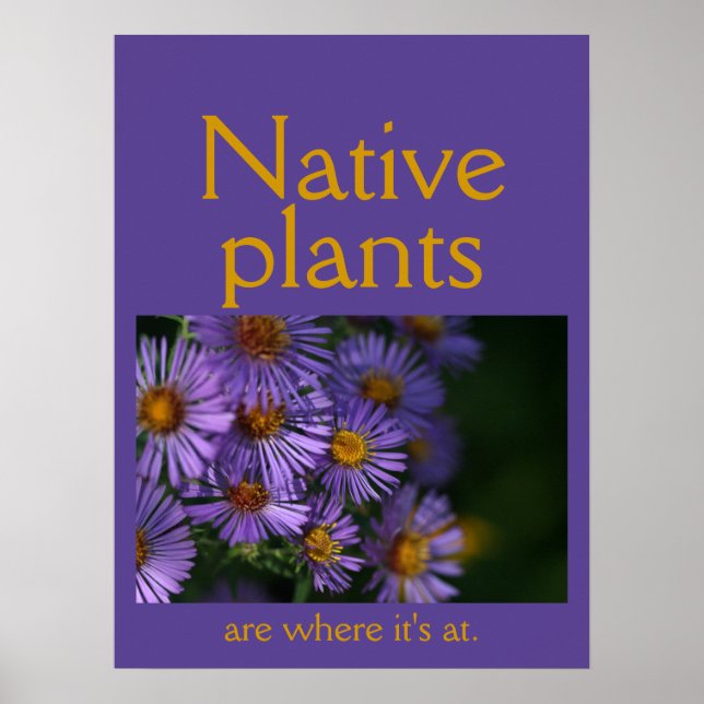 Native plants are where it's at poster (Front)