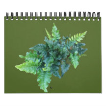 Native Plants - Pacific northwest