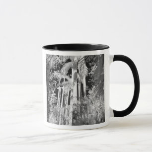Native Royal Palms in Fakahatchee Strand, Mug