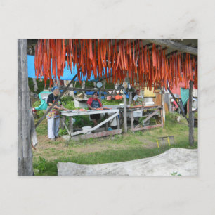 Native Women Prepare Salmon For Drying In Alaska Postcard