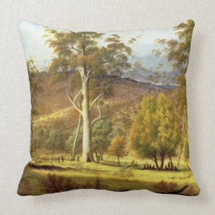 Natives in the Eucalypt Forest on Mills Plains, Pa Cushion