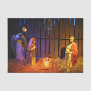 Nativity Scene Christmas Display in Washington DC Tissue Paper