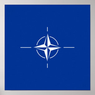 nato flag North Atlantic Treaty Organisation Allia Poster