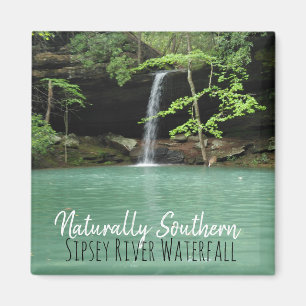 Natrually Southern Sipsey Waterfall Magnet