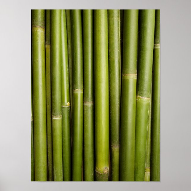 Natural Bamboo Zen Background Customised Template Poster (Front)