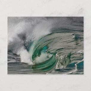 Natural Beauty Postcard