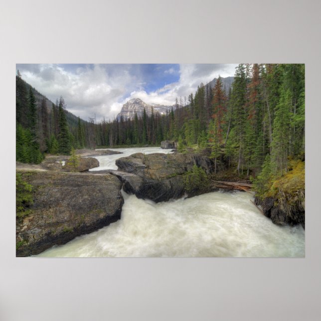 Natural Bridge Poster (Front)