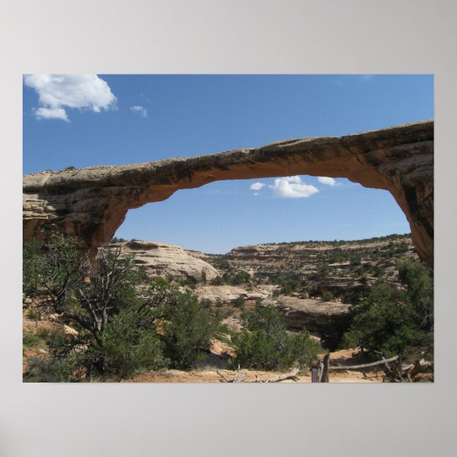 Natural Bridges National Monument Poster (Front)