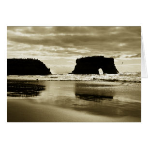 Natural Bridges State Beach