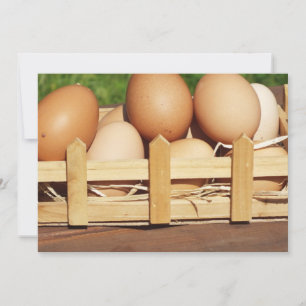 natural chicken eggs by country