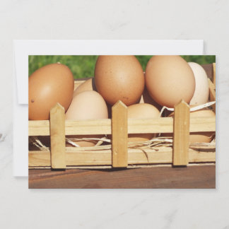 natural chicken eggs by country