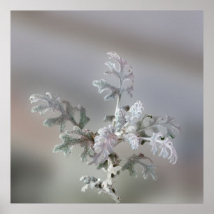 Natural Christmas Decorations