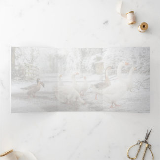 natural Christmas Tri-Fold Announcement