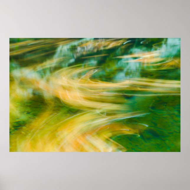 Natural Colour Flow Abstract Poster (Front)