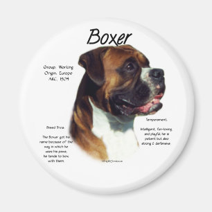 Natural Coloured Boxer Meet the Breed Magnet