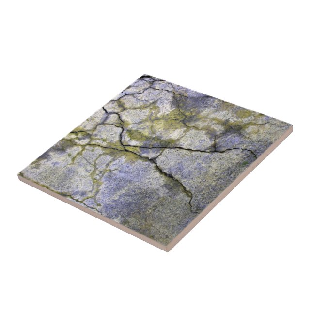 Natural Cracked Stone with Lichen Texture Tile (Side)