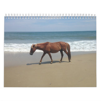 Natural Environment Calender Calendar