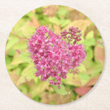 Natural Flower Heart - pierced by arrow.