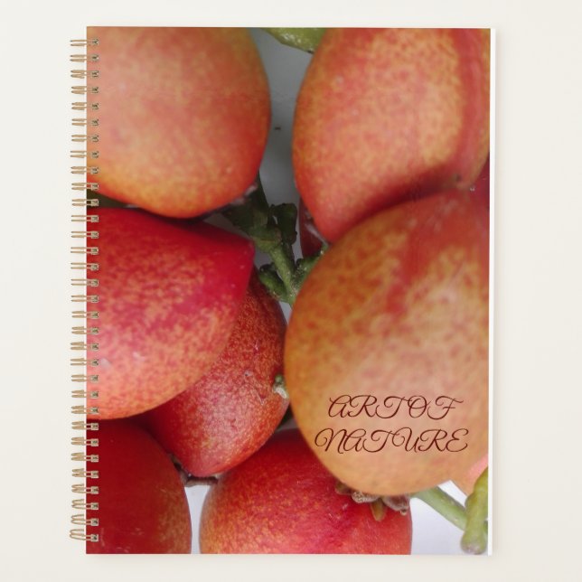 Natural fruit art gift of daughters day valentine planner (Front)