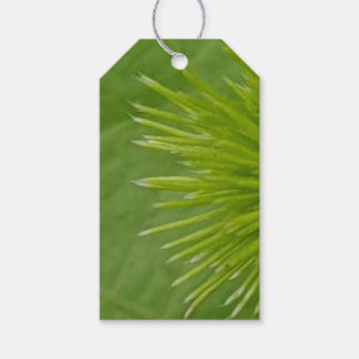 Natural Green Gift Tag