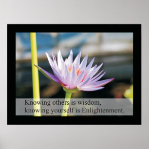 Natural Health Quotes and Sayings Poster Lao Tzu