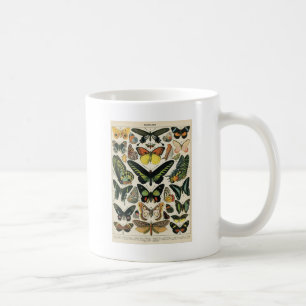 Natural History Butterfly Coffee Mug
