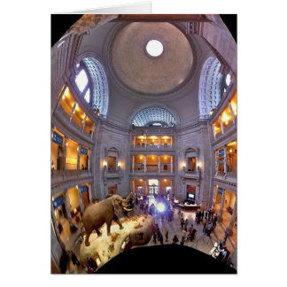 Natural History Museum