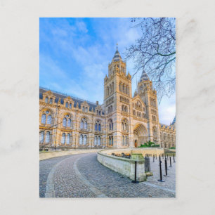 Natural History Museum, London Postcard
