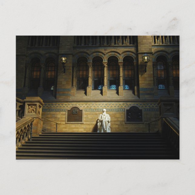 Natural History Museum Postcard (Front)