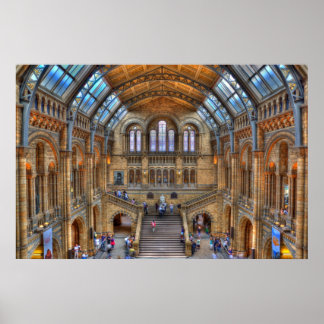 Natural History Museum Poster
