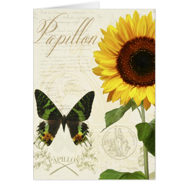 Natural History Sketchbook III (Front)