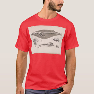 Natural History Whale Skeleton T-Shirt