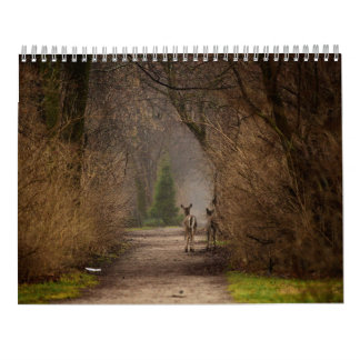 Natural Influence Photography 2016 Calendar