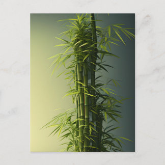 Natural Lucky Bamboo Postcard