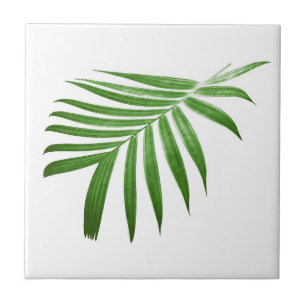Natural Modern Palm Leaf Ceramic Tile