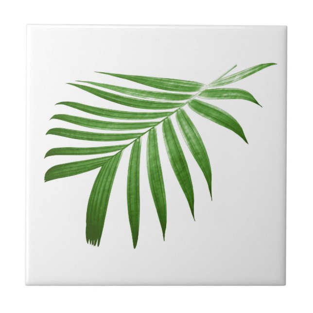 Natural Modern Palm Leaf Ceramic Tile (Front)