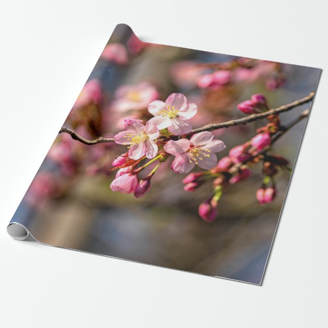 Natural Painting Of Sakura Flowers On A Windy Day Wrapping Paper (Unrolled)
