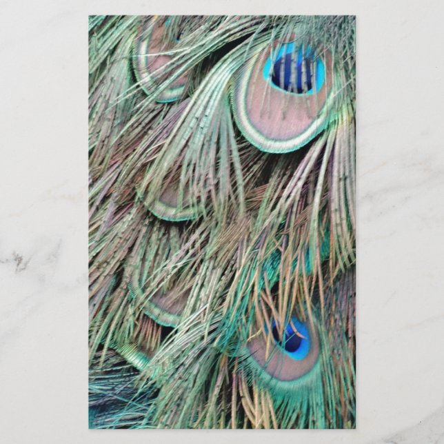 Natural Peacock Eyes Fluffy Feathers Stationery (Front)