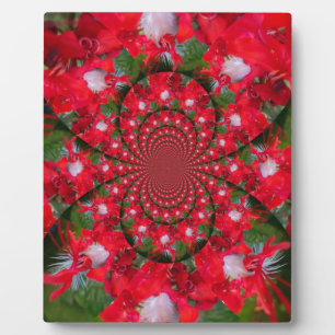 Natural Red Flower White Feather kaleidoscope art Plaque