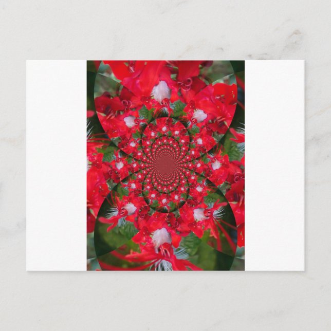 Natural Red Flower White Feather kaleidoscope art  Postcard (Front)