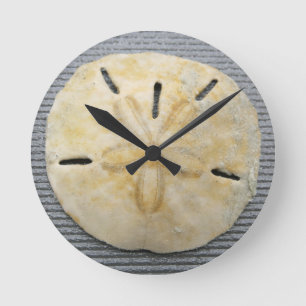 Natural Sand Dollar Round Clock