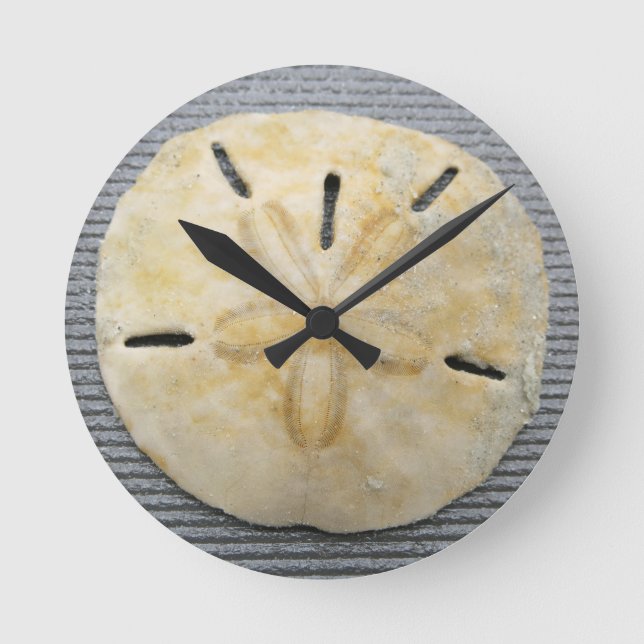 Natural Sand Dollar Round Clock (Front)
